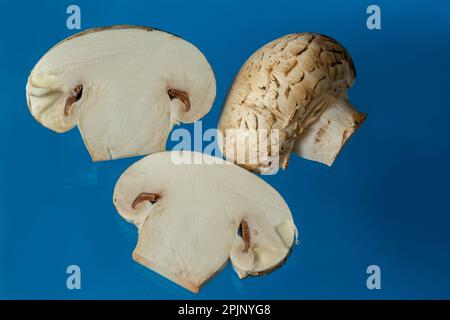 Frische Champignon-Pilze auf blauem Hintergrund Stockfoto