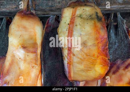 Hákarl, Nationalgericht aus fermentiertem Grönlandhai (Somniosus microcephalus), faules Fleisch, das im Freiluftschuppen in Snaefellsnes, Island, zum Trocknen hängt Stockfoto