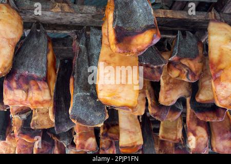 Hákarl, Nationalgericht aus fermentiertem Grönlandhai (Somniosus microcephalus), faules Fleisch, das im Freiluftschuppen in Snaefellsnes, Island, zum Trocknen hängt Stockfoto