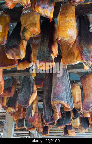 Hákarl, Nationalgericht aus fermentiertem Grönlandhai (Somniosus microcephalus), faules Fleisch, das im Freiluftschuppen in Snaefellsnes, Island, zum Trocknen hängt Stockfoto