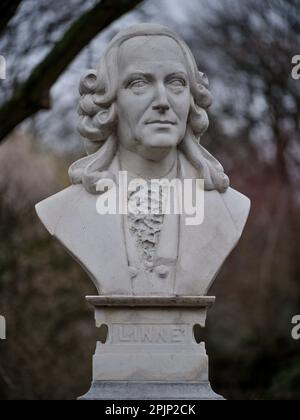 Botanischer Garten im Frühling Breslau-Niederschlesien Polen Stockfoto