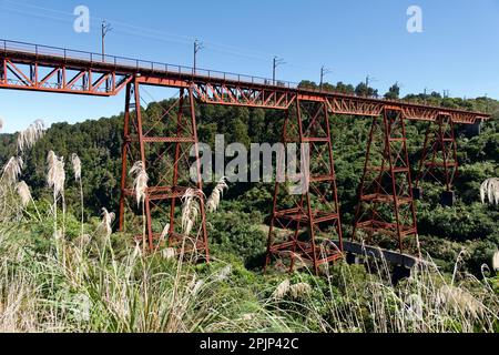 Makatote-Viadukt auf der nördlichen Insel Neuseelands Stockfoto