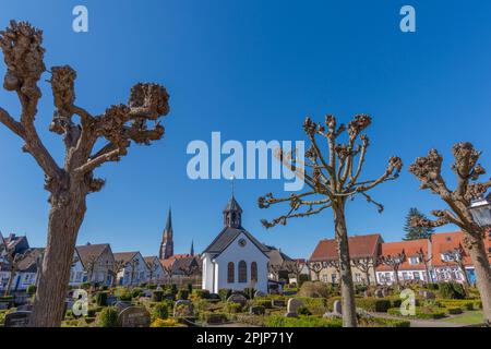 Kapelle und historischer Friedhof von 1863, altes Fischerdorf Holm, Schleswig-Stadt am Schlei-Fjord, Schleswig-Holstein, Norddeutschland, Europa Stockfoto