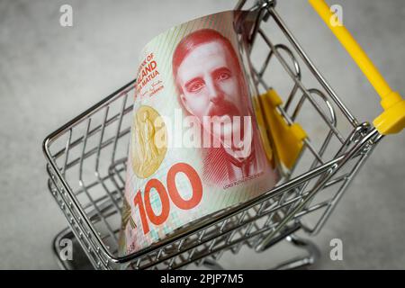 Neuseeland hundert Dollar in einem leeren Einkaufswagen, Konzept, steigende Preise in Geschäften, teurere Einkäufe, Inflation in Neuseeland, Busine Stockfoto