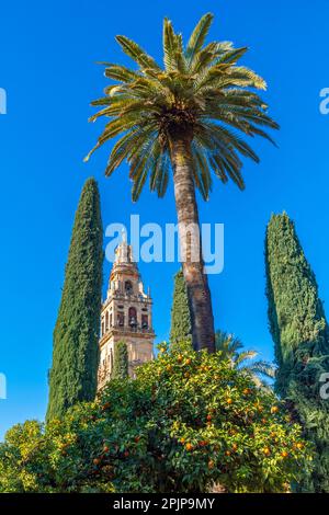 Die Moschee – die Kathedrale von Cordoba und die umliegende Galerie, Cordoba, Andalusien, Spanien, Südwesteuropa Stockfoto