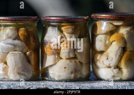 Porcini-Pilze in einer Glasdose zum Verkauf auf dem lokalen Markt in der Westukraine. Marinierte weiße Pilze aus der Dose, Nahaufnahme Stockfoto