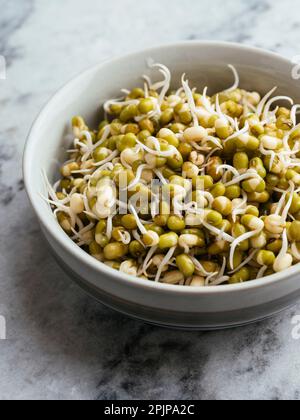Kleine Schüssel mit gekeimtem Mungbohnen. Stockfoto