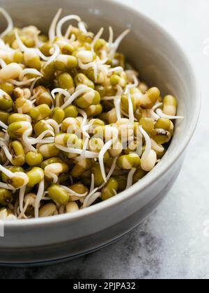 Kleine Schüssel mit gekeimtem Mungbohnen. Stockfoto