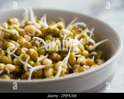Kleine Schüssel mit gekeimtem Mungbohnen. Stockfoto