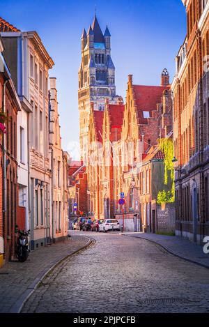 Brügge, Belgien. Die Sint-Salvatorskathedraal in Brügge ist eine Kathedrale im gotischen Stil mit einem hohen Glockenturm, wunderschönen Buntglasfenstern und beeindruckend Stockfoto