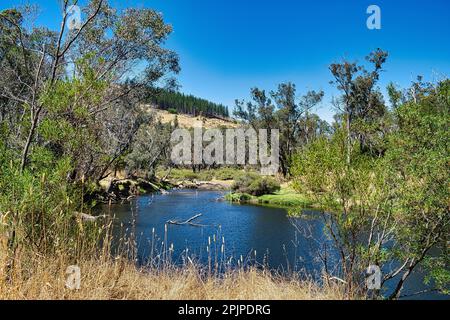 Der Blackwood River fließt durch den Wald in der Nähe der Wrights Bridge im Powlalup Nature Reserve, in der Nähe von Nannup, im Südwesten von Westaustralien Stockfoto