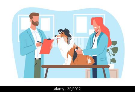 Tierärzte Mann und Frau, Mitarbeiter der Tierklinik mit Hund. Tieruntersuchung. Haustiere professionelle Gesundheitsfürsorge. Arztbesuch. Zeichentrickfilm Stock Vektor