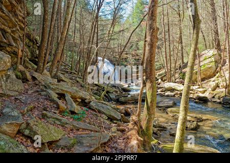 Raues und felsiges Gelände auf dem Berg entlang einer Klippe ein Pfad voller Felsbrocken und herabfallenden Blätter entlang des Bachs bis zu den stinging Fork Falls in Tennes Stockfoto