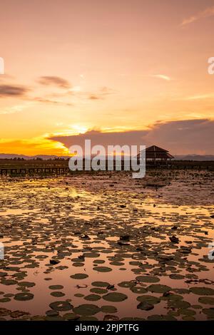 Die Landschaft des Lotus Swamp Sam ROI Yot in der Nähe des Dorfes Kui Buri am hat Sam ROI Yot in der Provinz Prachuap Khiri Khan in Thailand, Stockfoto