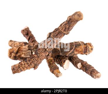 Calamuswurzel auf weißem Hintergrund isoliert. Süße Flagge, Sway oder Bisamrattenwurzel, Vasambu. Trockene Wurzel von Acorus calamus Stockfoto