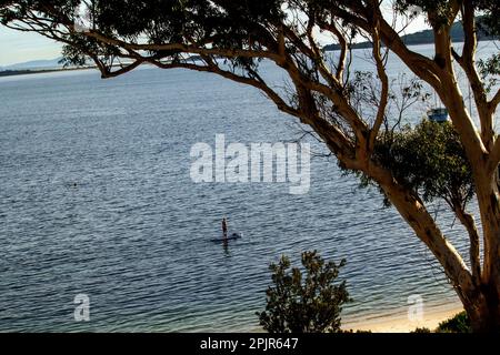 Touristen genießen ein Paddleboarderlebnis in Shoal Bay Beach, Port Stephens, Mid North Coast, New South Wales, Australien. Die Shoal Bay ist das größte Stockfoto