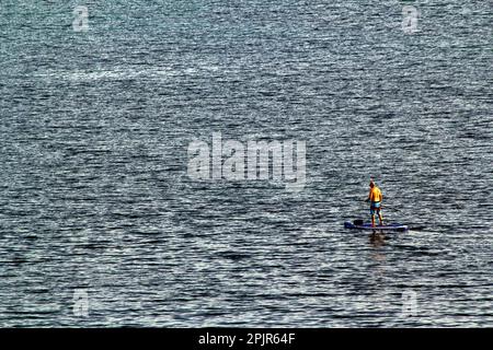 Touristen genießen ein Paddleboarderlebnis in Shoal Bay Beach, Port Stephens, Mid North Coast, New South Wales, Australien. Die Shoal Bay ist das größte Stockfoto