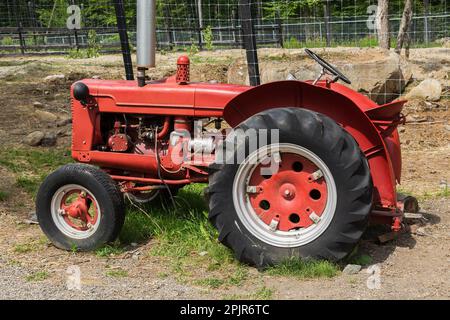 Alter roter Farmtraktor neben Tierhalter, Familizoo, Saint-Calixte, Lanaudiere, Quebec, Kanada. Stockfoto