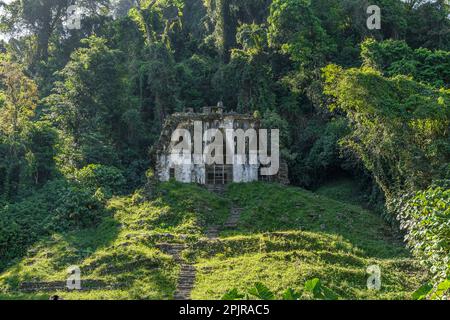 Der alte Maya-Tempel des Blattkreuzes, Palenque, Chiapas, Yucatán, Mexiko Stockfoto