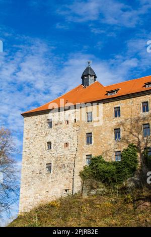 Elgersburg Schloss im Thüringer Wald Stockfoto