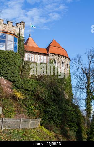 Elgersburg Schloss im Thüringer Wald Stockfoto