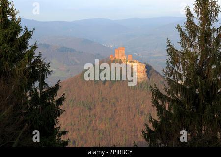 Blick vom Rehberg-Turm auf Trifels Castle, Annweiler, Pfalz, Rheinland-Pfalz, Deutschland, Blick vom Rehberg-Turm auf Trifels Castle Stockfoto
