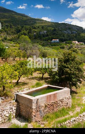Wasserreservoir für Mandel- und Zitrusplantagen, Costa Blanca, Provinz Alicante, Valencia, Spanien Stockfoto