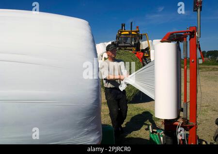 Landwirte wickeln Silageballen in Kunststoff mit mechanischer Ballenwicklung, Schweden Stockfoto