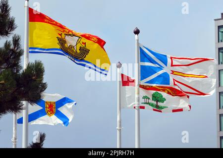 Flaggen der vier atlantischen kanadischen Provinzen (Nova Scotia, New Brunswick, Neufundland und Labrador, Prince Edward Island) am Flughafen Halifax Stockfoto