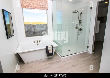 Master Badezimmer Glasdusche Und Badewanne Stockfoto