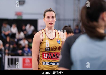 Campobasso, Italien. 31. März 2023. Antonia Delaere von Umana Reyer Venezia während des Halbfinales der letzten acht der Frauen des italienischen Pokals 2023 zwischen Virtus Segafredo Bologna und Umana Reyer Venezia in der La Molisana Arena. Umana Reyer Venezia Team schlug Virtus Segafredo Bologna Team mit einem Ergebnis von 63:78. (Foto: Elena Vizzoca/SOPA Images/Sipa USA) Guthaben: SIPA USA/Alamy Live News Stockfoto