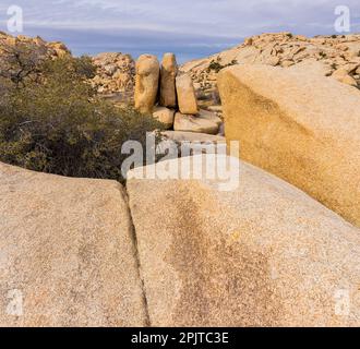 Monzogranite Rock Formations auf dem Barker Dam Trail, Joshua Tree National Park, Kalifornien, USA Stockfoto