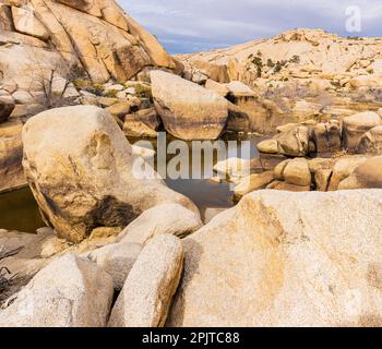 Historischer Barker Dam und Monzogranite Rock Formations auf dem Barker Dam Trail, Joshua Tree National Park, Kalifornien, USA Stockfoto