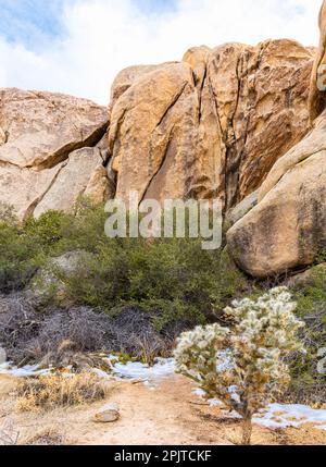 Monzogranite Rock Formations auf dem Barker Dam Trail, Joshua Tree National Park, Kalifornien, USA Stockfoto