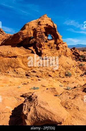 Triple Arch mit Blick auf die Mojave-Wüste, Valley of Fire State Park, Nevada, USA Stockfoto