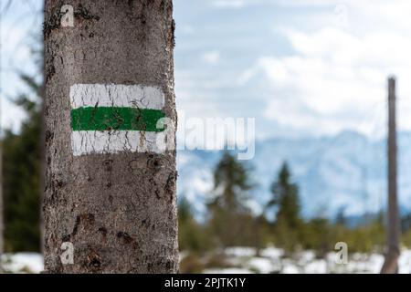 Die grüne Spur auf dem Baum markieren. Berge im Hintergrund. Der grüne Pfad nach Rusinowa Polana in den Tatra-Bergen. Polen Stockfoto