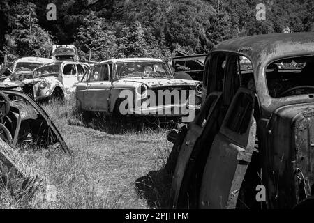 Oldtimer rosten draußen im Horopito Auto Wreckers - Smash Palace. Nordinsel, Neuseeland. Schwarzweißfoto. Stockfoto