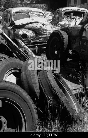 Oldtimer rosten draußen im Horopito Auto Wreckers - Smash Palace. Nordinsel, Neuseeland. Schwarzweißfoto. Stockfoto