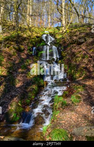 Wasserfall, Hardcastle Crags, Halifax, West Yorkshire Stockfoto