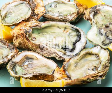 Offene und geschlossene rohe Austern, isoliert auf blauem Teller, serviert mit Zitronenscheiben. Delikatessen. Stockfoto