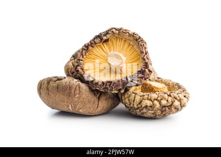 Getrocknete Shiitake-Pilze, isoliert auf weißem Hintergrund. Stockfoto