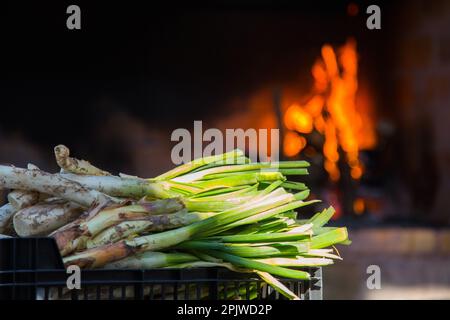 Kalk mit Romesco-Sauce. Kalk ist eine Vielfalt zarter Zwiebeln, die zwischen November und April wachsen. Stockfoto