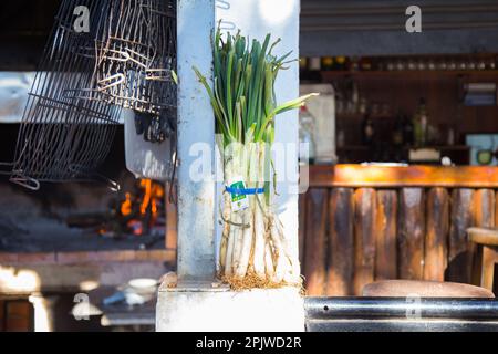 Kalk mit Romesco-Sauce. Kalk ist eine Vielfalt zarter Zwiebeln, die zwischen November und April wachsen. Stockfoto