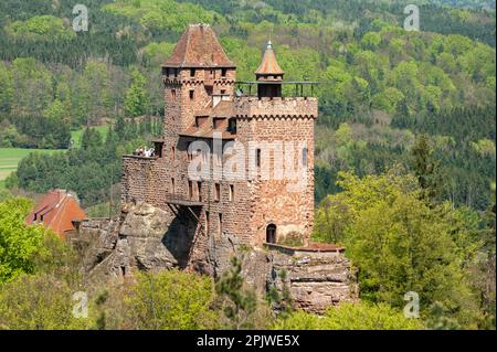 Burg Berwartstein in der Landschaft des Naturparks Pfalz, Erlenbach, Pfalz, Rheinland-Pfalz, Deutschland, Europa Stockfoto