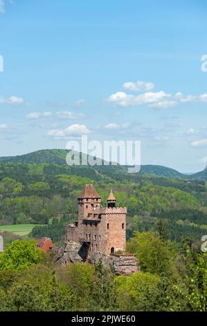 Burg Berwartstein in der Landschaft des Naturparks Pfalz, Erlenbach, Pfalz, Rheinland-Pfalz, Deutschland, Europa Stockfoto