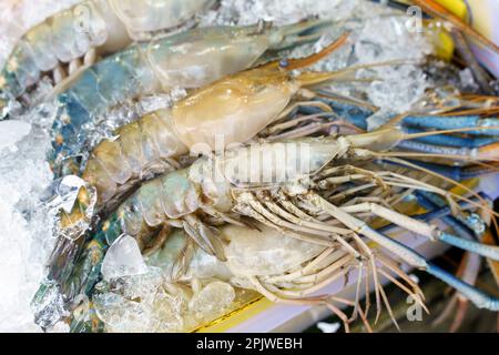 Frische rohe Garnelen oder Garnelen auf dem Fischmarkt Stockfoto