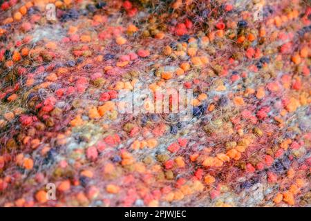 Warmer, farbenfroher Strickpullover oder Schal. Gemütliche Komposition in der häuslichen Atmosphäre, warme Farben. Wollstruktur Nahaufnahme des Hintergrunds. Bequem Stockfoto
