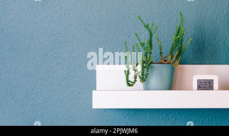 Weißes Regal mit schöner Zimmerpflanze und Digitalthermometer an blau-grünen Wänden im Zimmer. Modernes Kompositionskonzept des Kopierraums im Designraum. Stockfoto