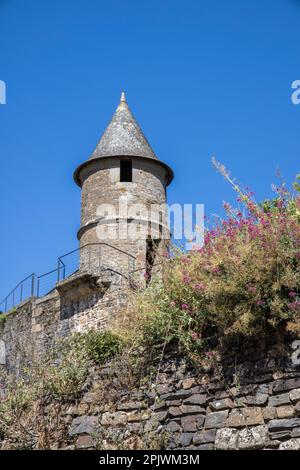 Runder Turm auf der Verteidigungsmauer der Burgruine, Fougeres, Ille-et-Vilaine, Bretagne, Frankreich Stockfoto