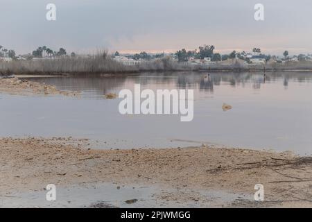 Pink Lake im Naturpark der Lagunen La Mata und Torrevieja, Alicante, Spanien Stockfoto
